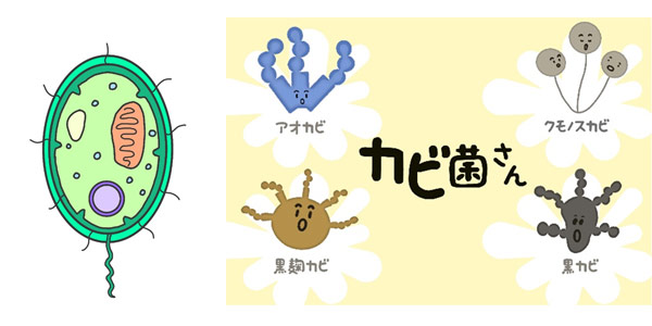 細菌学